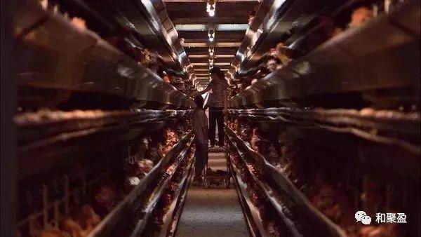 新建 Microsoft Word 文档701.jpg