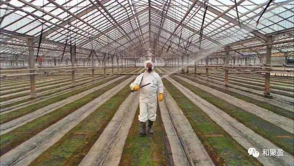 新建 Microsoft Word 文档817.jpg