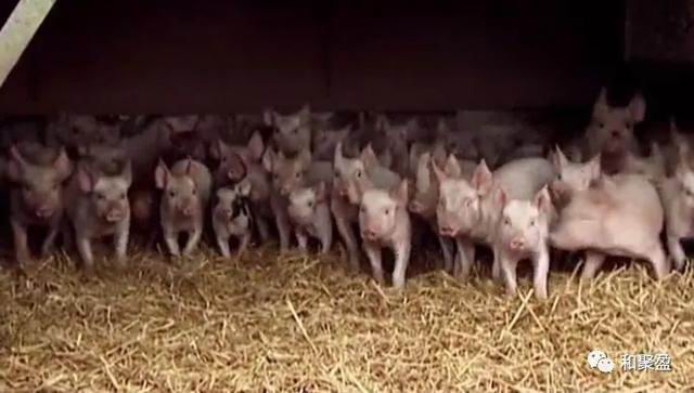 新建 Microsoft Word 文档1773.jpg