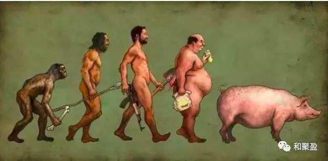 新建 Microsoft Word 文档2203.jpg